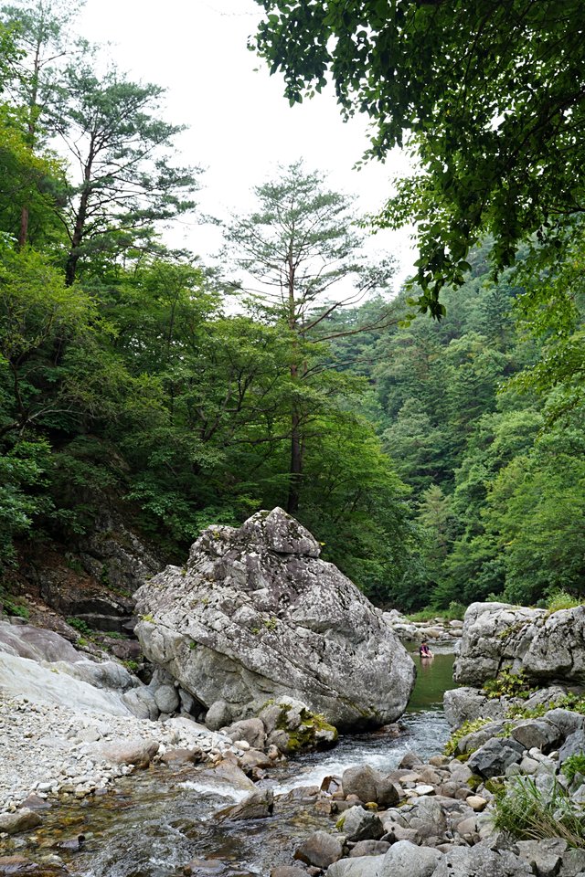 b-DSC00226.JPG
