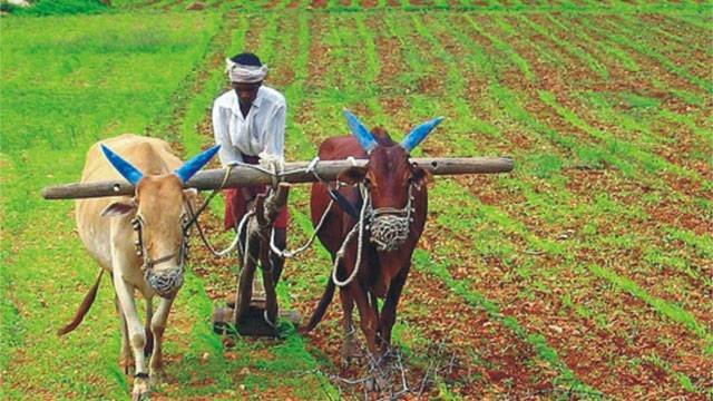 Indian-Farmer-life.jpg