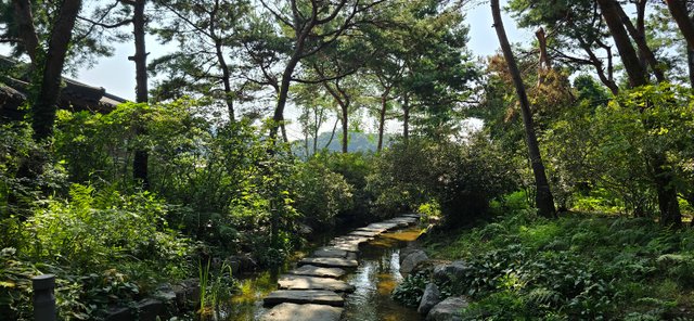 KakaoTalk_20240816_230115703_01.jpg