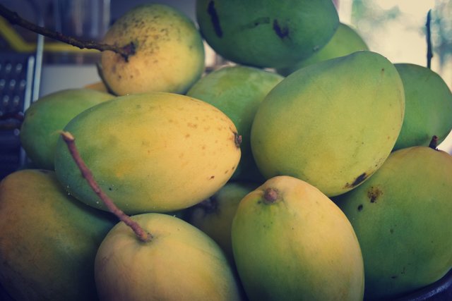 mango-coconut-pudding-1.jpg
