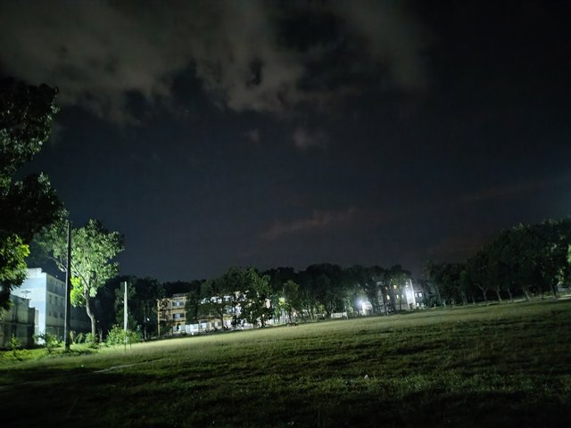 4552.jpg