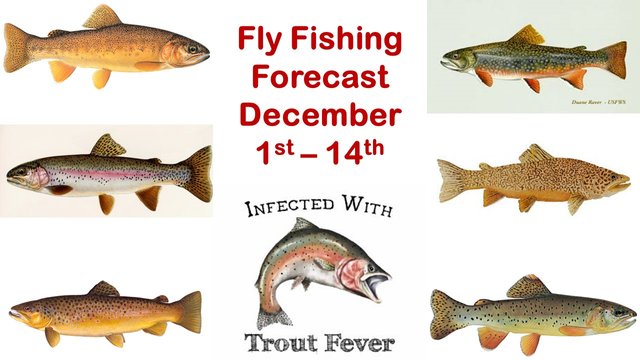 FlyFishingForecast_191201.jpg