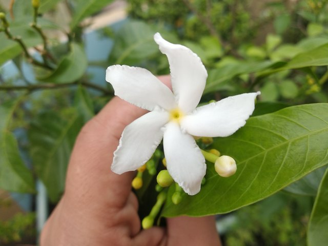 IMG_20250419_102802.jpg