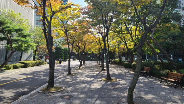 IMAGE 2025-11-11 04:47:02.jpg