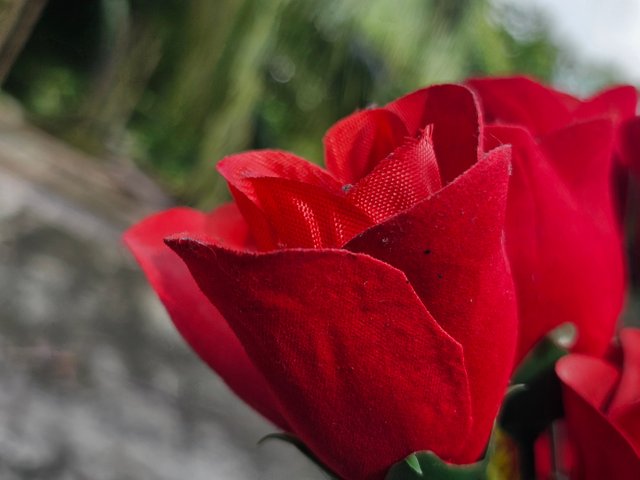 20250912_150821.jpg