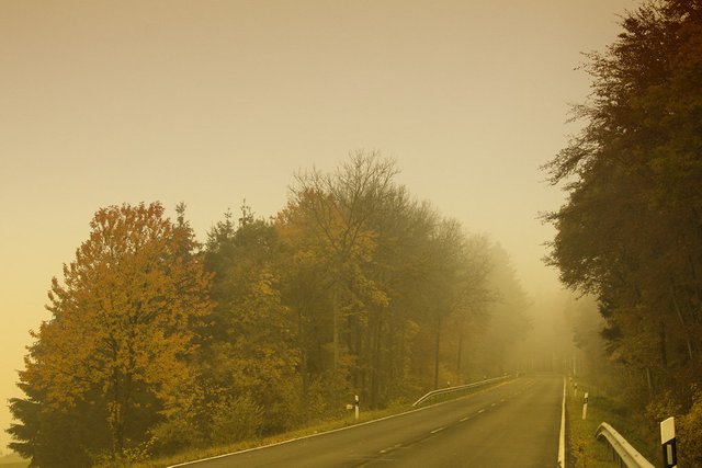autumn-fog_6322154187_o (FILEminimizer).jpg