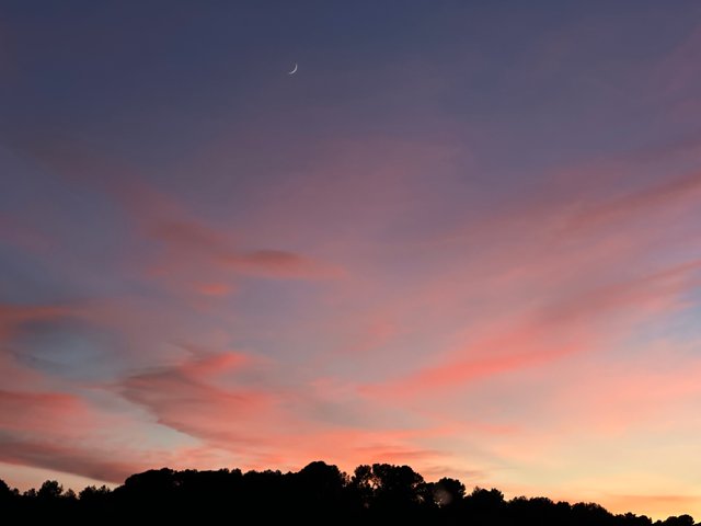 IMG_2549.jpeg