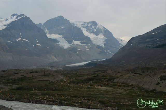 columbia icefields2.jpg