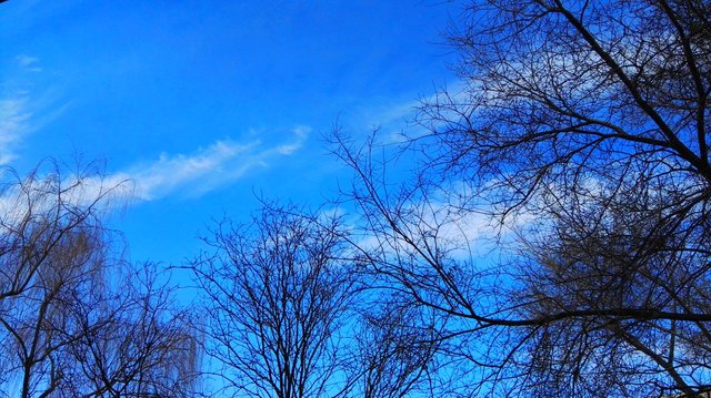 blue sky.jpg