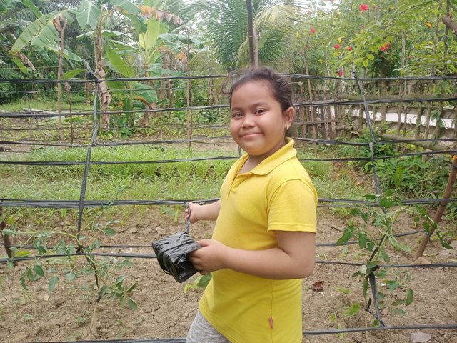 IMG20250627095051.jpg