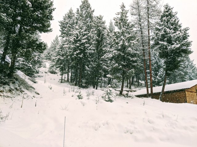 IMG_20200106_100033.jpg