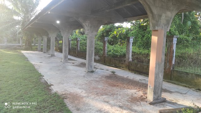 IMG_20250818_071839.jpg