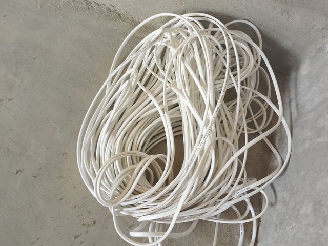 1000046190.jpg