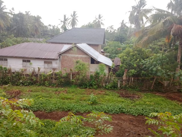 1000151528.jpg