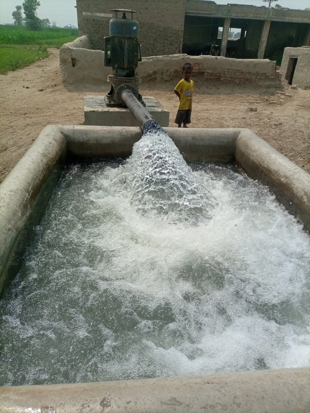 IMG_20250501_135932_232_kaGmFGhK9A.jpeg