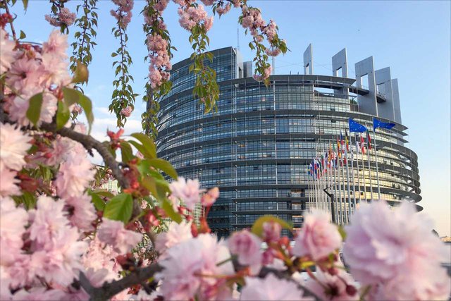 European-Parliament_Strasbourg_by_European-Parliament_CC_BY-NC-ND_2-0_33744846051_f9cfa285e4_o-TB-WEB.jpg
