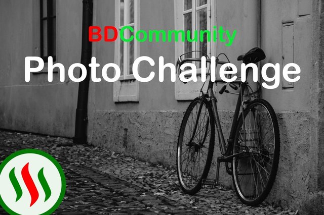 BDC Photo Challenge.jpg