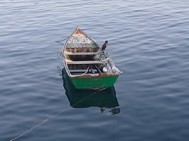 1000040905.jpg