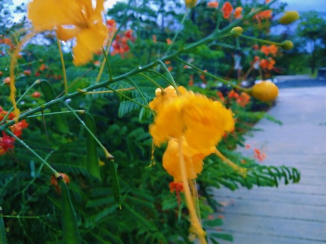 IMG_20250404_192233.jpg