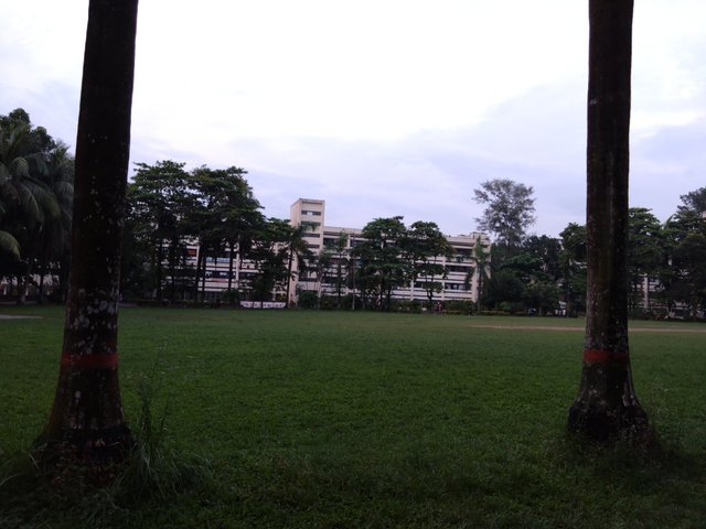 1000019966.jpg