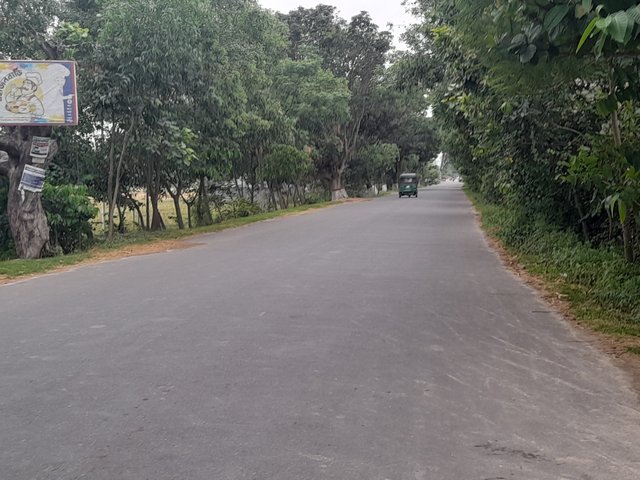1000133539.jpg