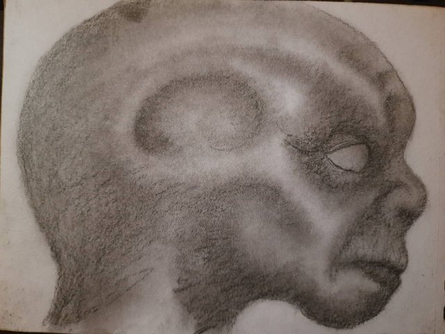 20250430_105118.jpg