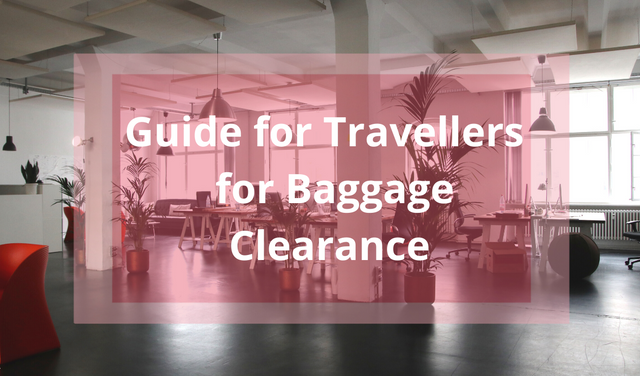 Travellers Guide & Baggage Rules India.png