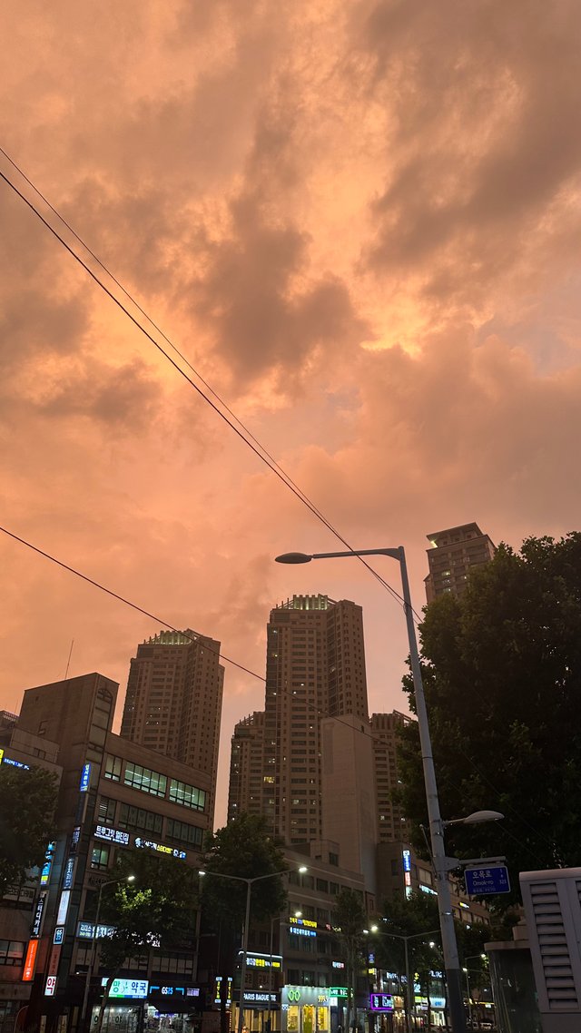 IMG_5551.jpeg