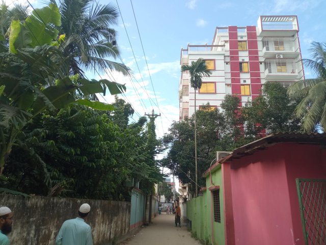 নেচার (4).jpg