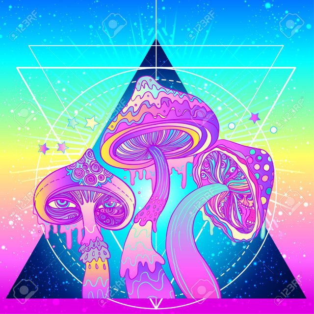 87434923-magic-mushrooms-over-sacred-geometry-psychedelic-hallucination-vibrant-vector-illustration-60s-hippi.jpg