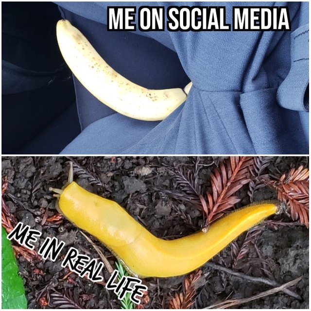 social media vs real life .jpg