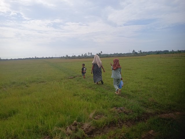 IMG20250618154812.jpg