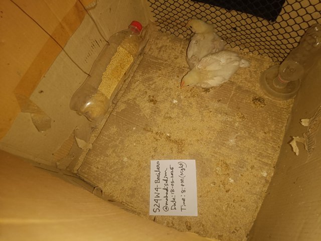 IMG20250518195139.jpg