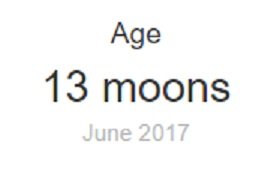 13moon.jpg