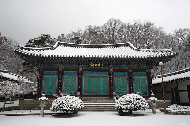 w-DSC00058.jpg