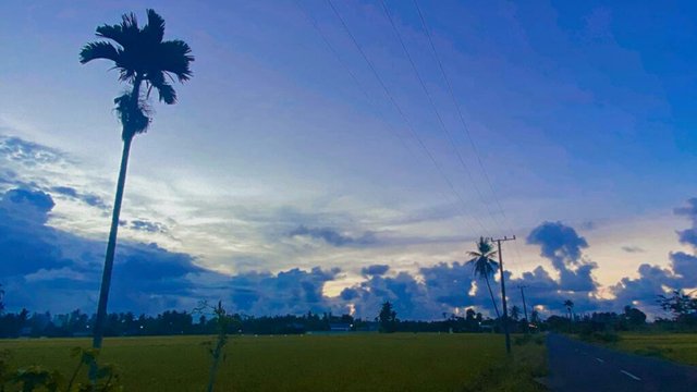 IMG_20211103_015701.jpg