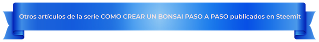 banner-otros-artículos-que-te-podrian-interesar-(BONSAI).png