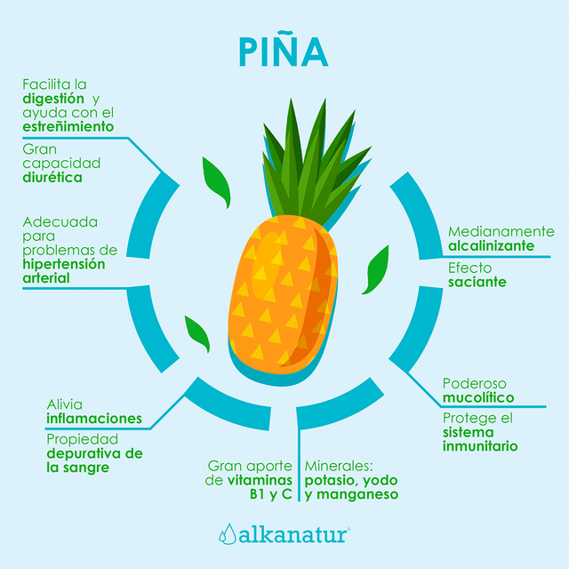 infografia-pina.png