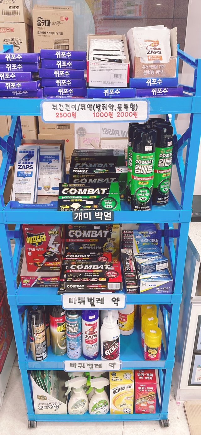 KakaoTalk_20250628_213912401_01.jpg