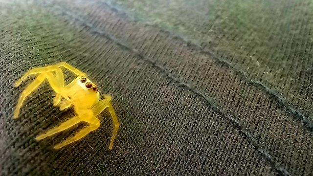 20221223_110700.jpg