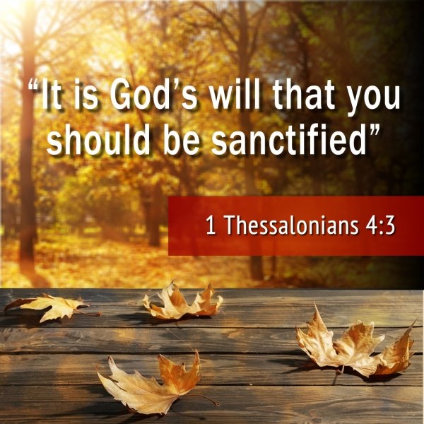 It is God's will that you should sanctified. 1 Thessalonians 4,3. Exegesis and meaning.jpg