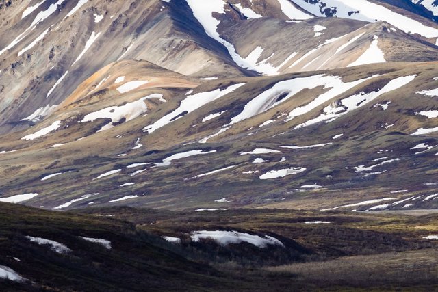 10JUN18-Denali-7.jpg