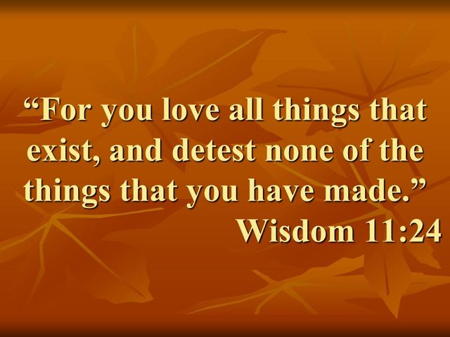 Mysteries of love. For you love all things that exist, and detest none of the things that you have made.jpg