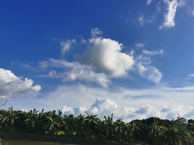 IMG_20240908_162559.jpg