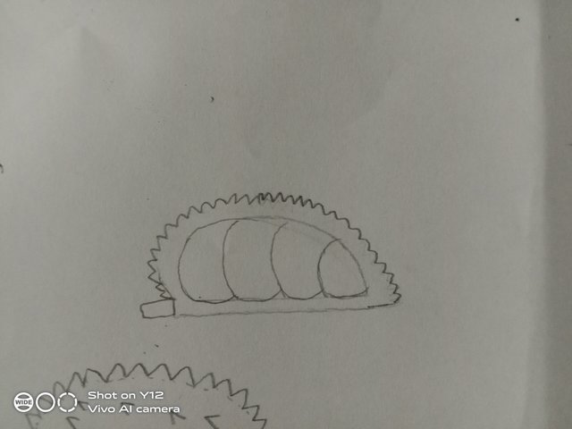 IMG_20250508_201847.jpg