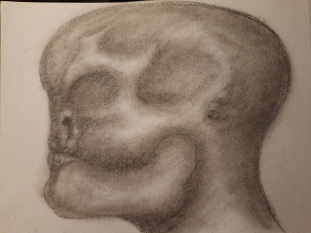 20251002_105545.jpg