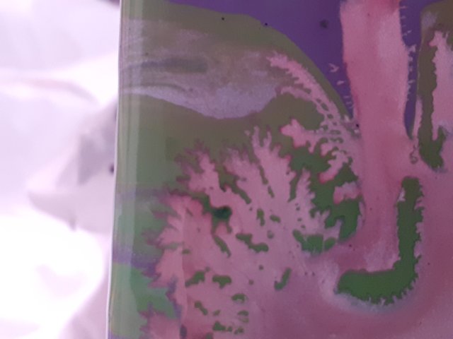 20251016_124236.jpg