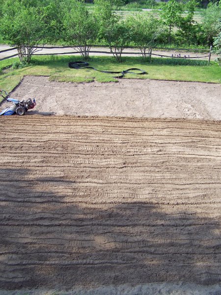 New Herb garden - Day 7 tilling crop May 2016.jpg