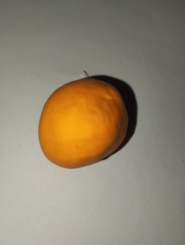 1000029826.jpg