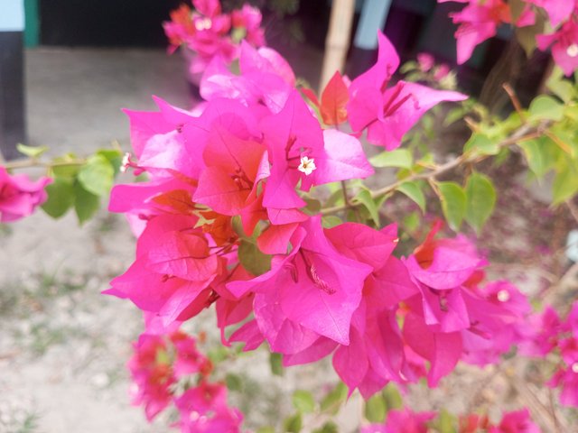 IMG_20231121_155242_882.jpg